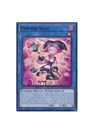 Cyberse Sage