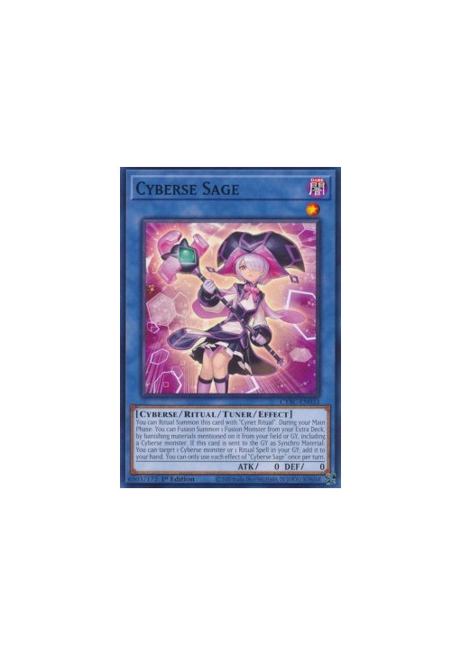Cyberse Sage