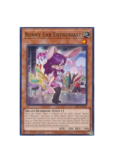 Bunny Ear Enthusiast