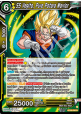 SS Vegito, Pure Potara Warrior