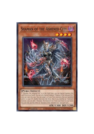 Shaman of the Ashened City