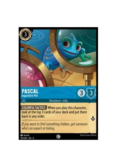 Pascal - Inquisitive Pet