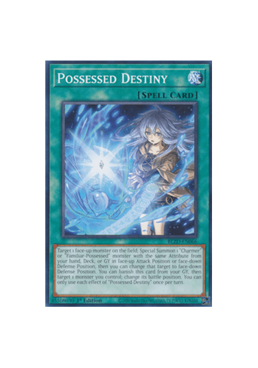Possessed Destiny