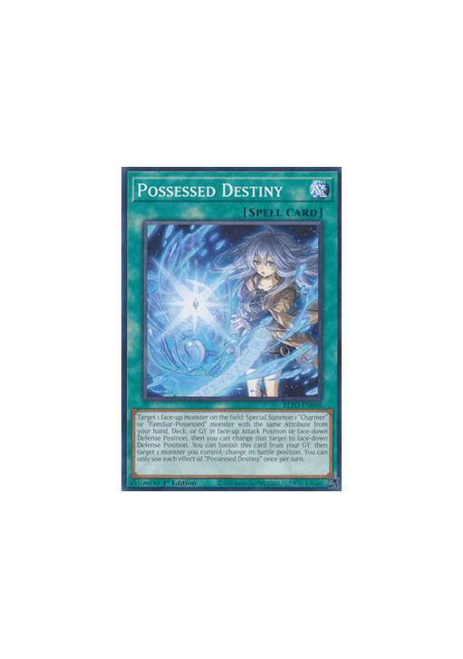 Possessed Destiny