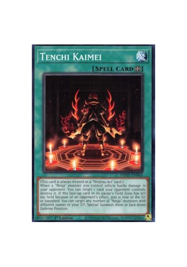 Tenchi Kaimei