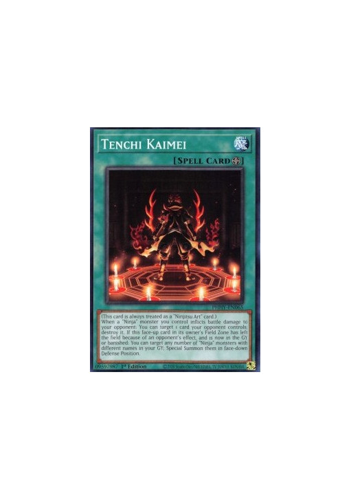 Tenchi Kaimei