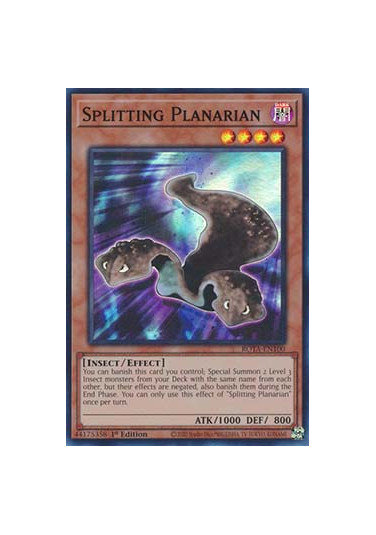 Splitting Planarian