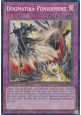 Dogmatika Punishment (V.6 - Collectors Rare)