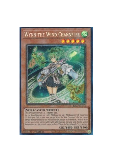 Wynn the Wind Channeler (V.6 - Collectors Rare)