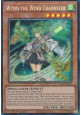 Wynn the Wind Channeler (V.6 - Collectors Rare)