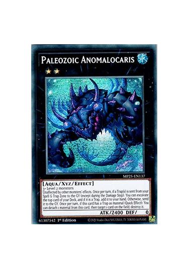 Paleozoic Anomalocaris