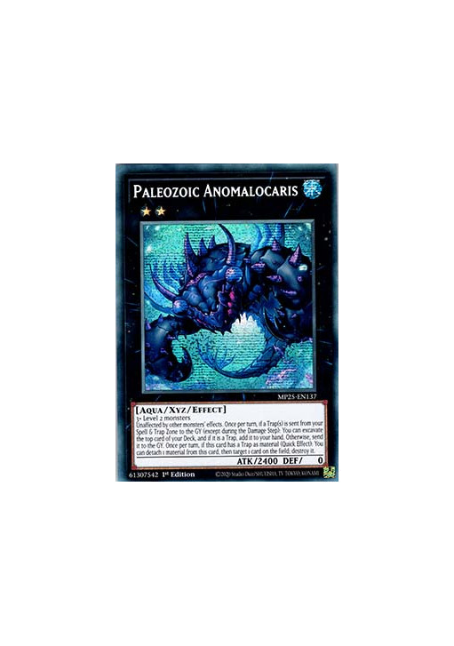 Paleozoic Anomalocaris