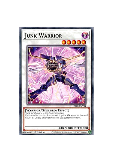 Junk Warrior