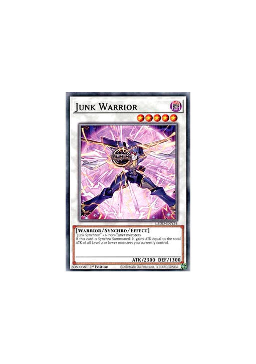 Junk Warrior