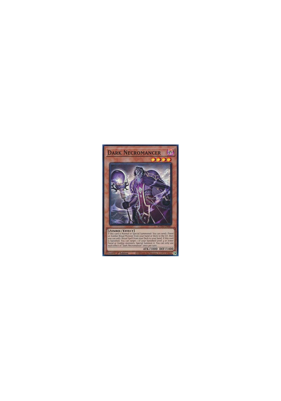 Dark Necromancer