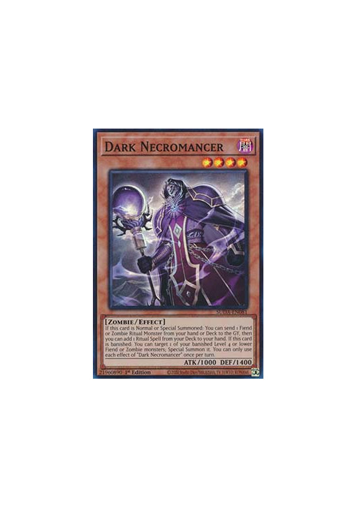 Dark Necromancer