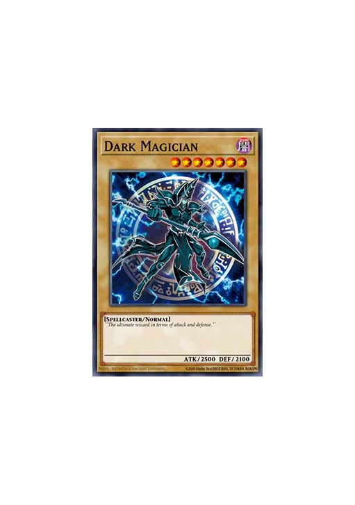 Dark Magician (V.11 - Quarter Century Secret Rare)