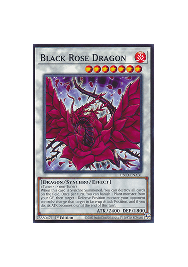 Black Rose Dragon