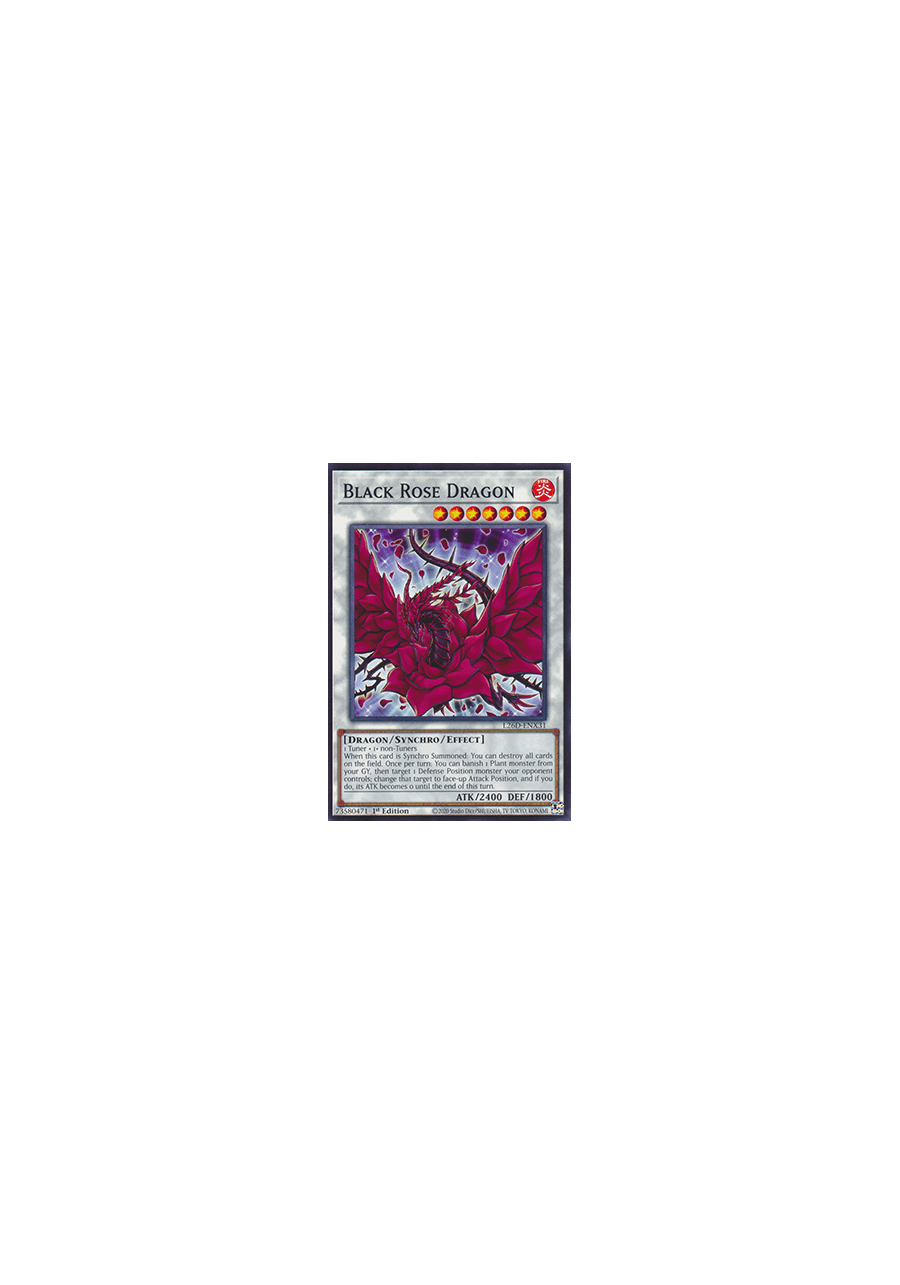 Black Rose Dragon