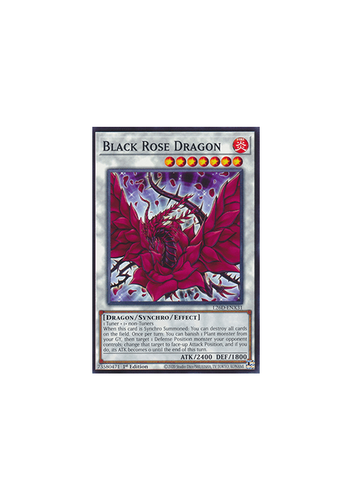 Black Rose Dragon
