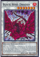 Black Rose Dragon