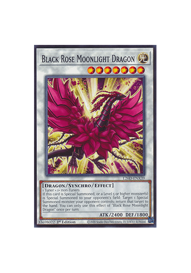 Black Rose Moonlight Dragon