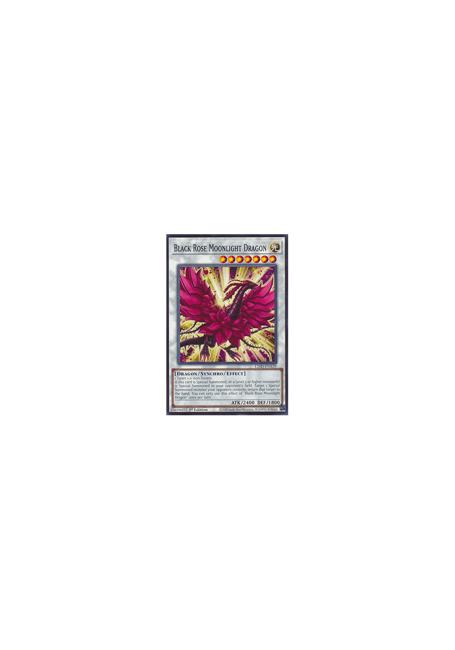 Black Rose Moonlight Dragon