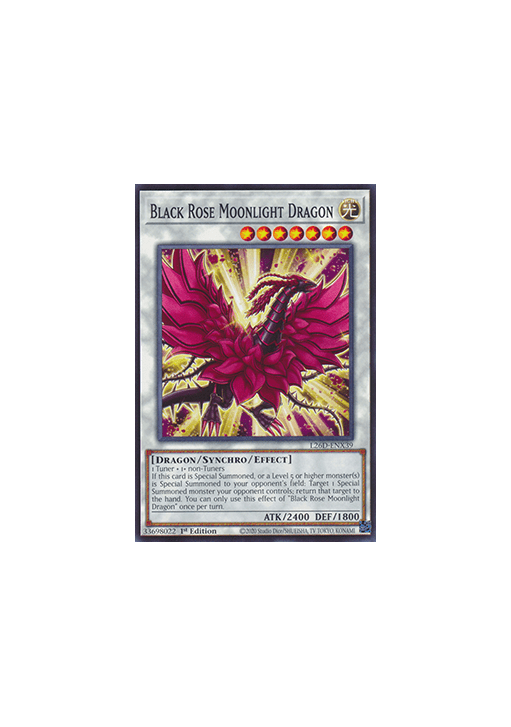 Black Rose Moonlight Dragon
