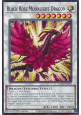 Black Rose Moonlight Dragon