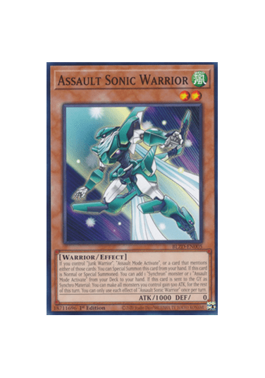 Assault Sonic Warrior