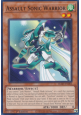 Assault Sonic Warrior