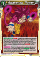 Awakened Power