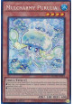 Mulcharmy Purulia (V.2 - Collectors Rare)