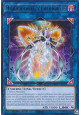 Topologic Zeroboros