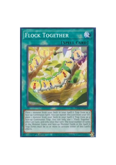 Flock Together