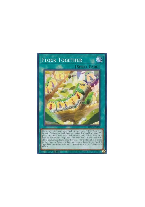 Flock Together