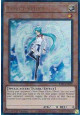 Effect Veiler (V.7 - Ultimate Rare)