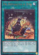 Pre-Preparation of Rites (V.7 - Ultimate Rare)