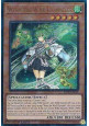 Wynn the Wind Channeler (V.7 - Ultimate Rare)