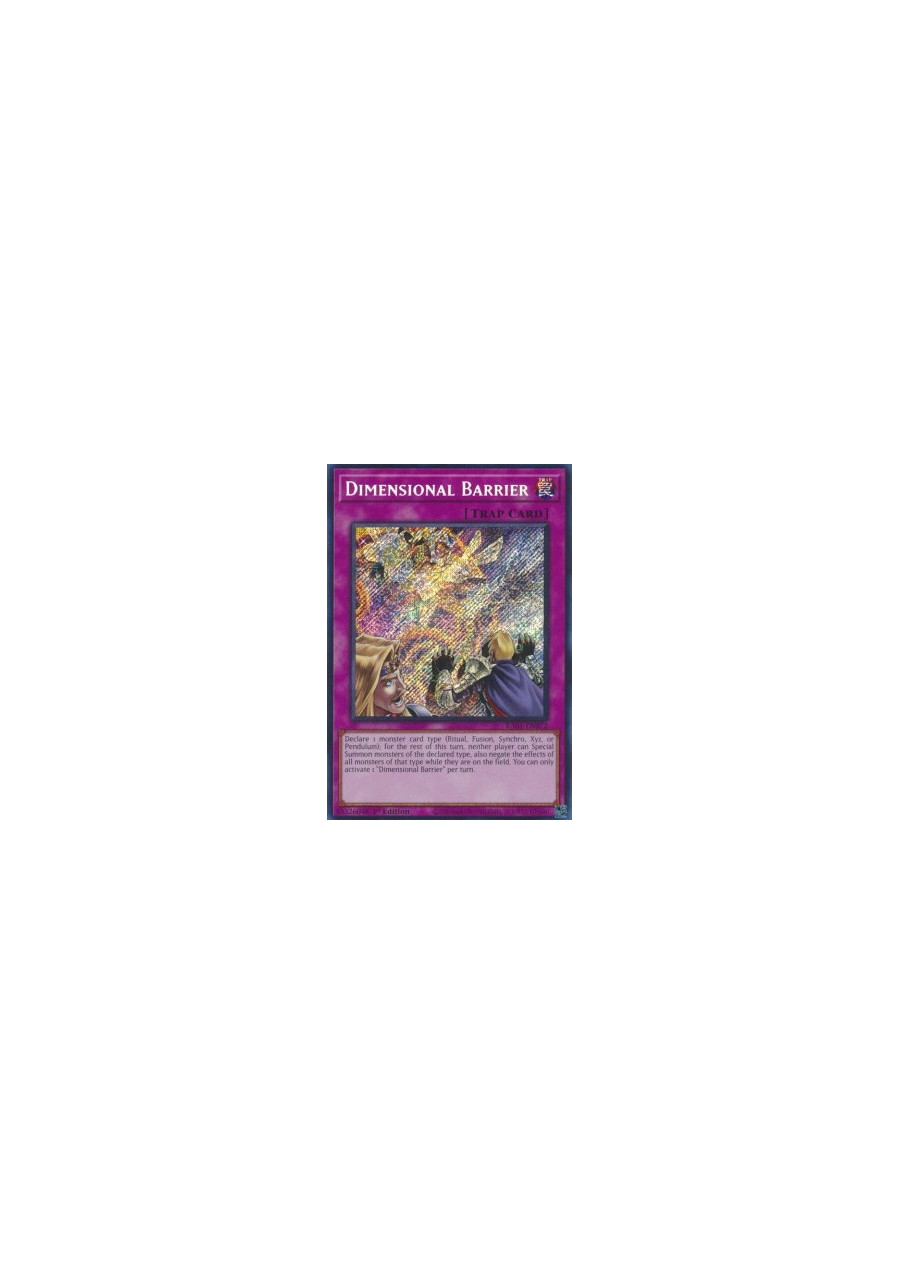 Dimensional Barrier (V.3 - Secret Rare)