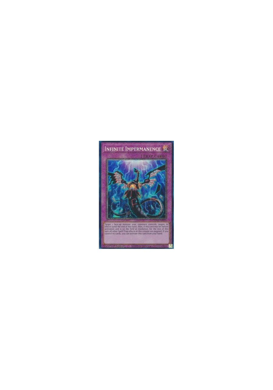 Infinite Impermanence (V.6 - Collectors Rare)