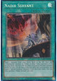 Nadir Servant (V.6 - Collectors Rare)