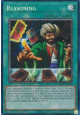 Reasoning (V.6 - Collectors Rare)