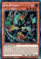 Ext Ryzeal