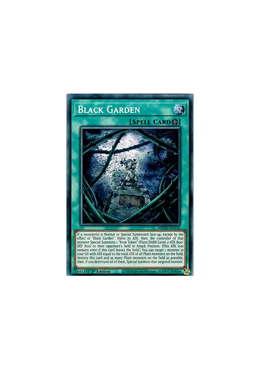 Black Garden