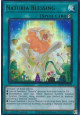 Naturia Blessing