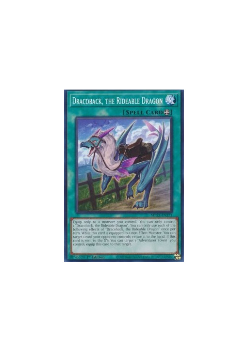 Dracoback, the Rideable Dragon