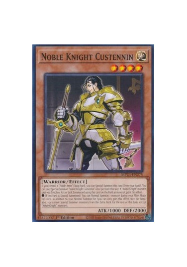 Noble Knight Custennin