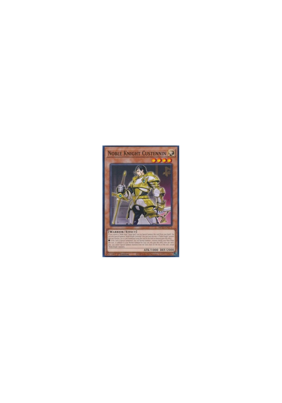 Noble Knight Custennin