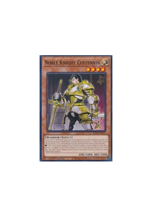 Noble Knight Custennin